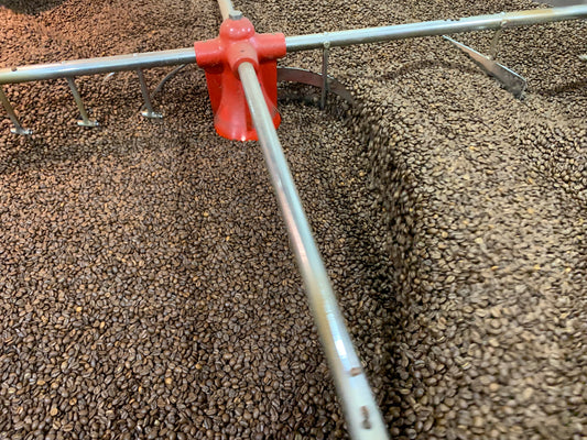 Sourcing Our Coffee Beans